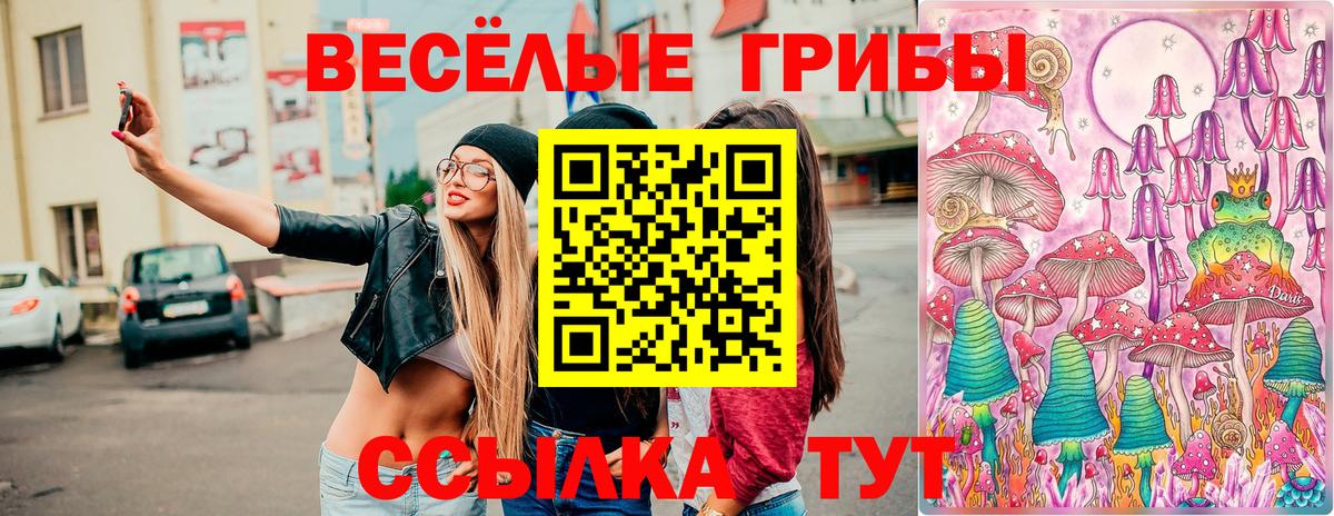 Галлюциногенные грибы Magic Shrooms Звенигород