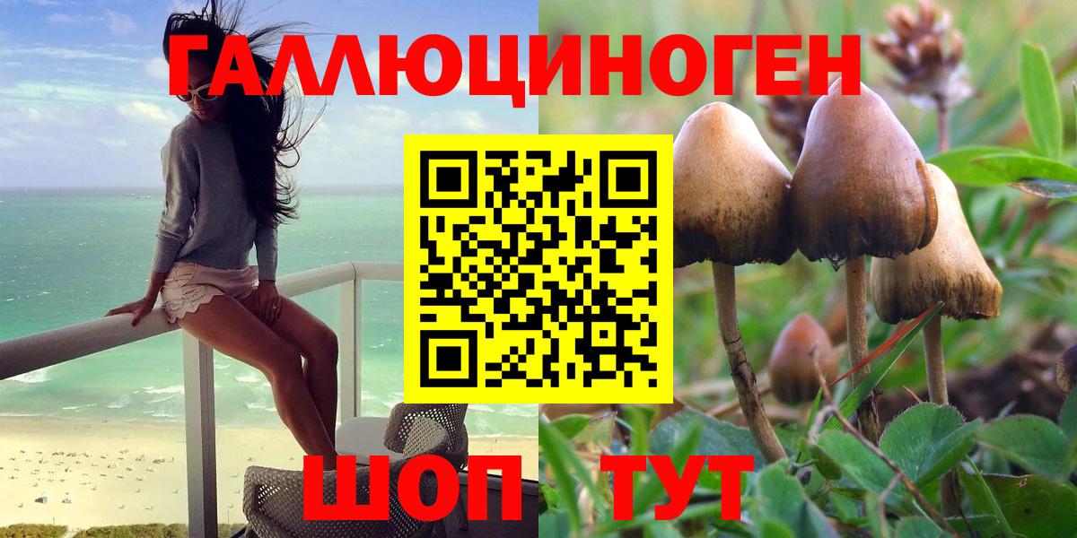 Псилоцибиновые грибы Cubensis  Вход с VPN  Звенигород 
